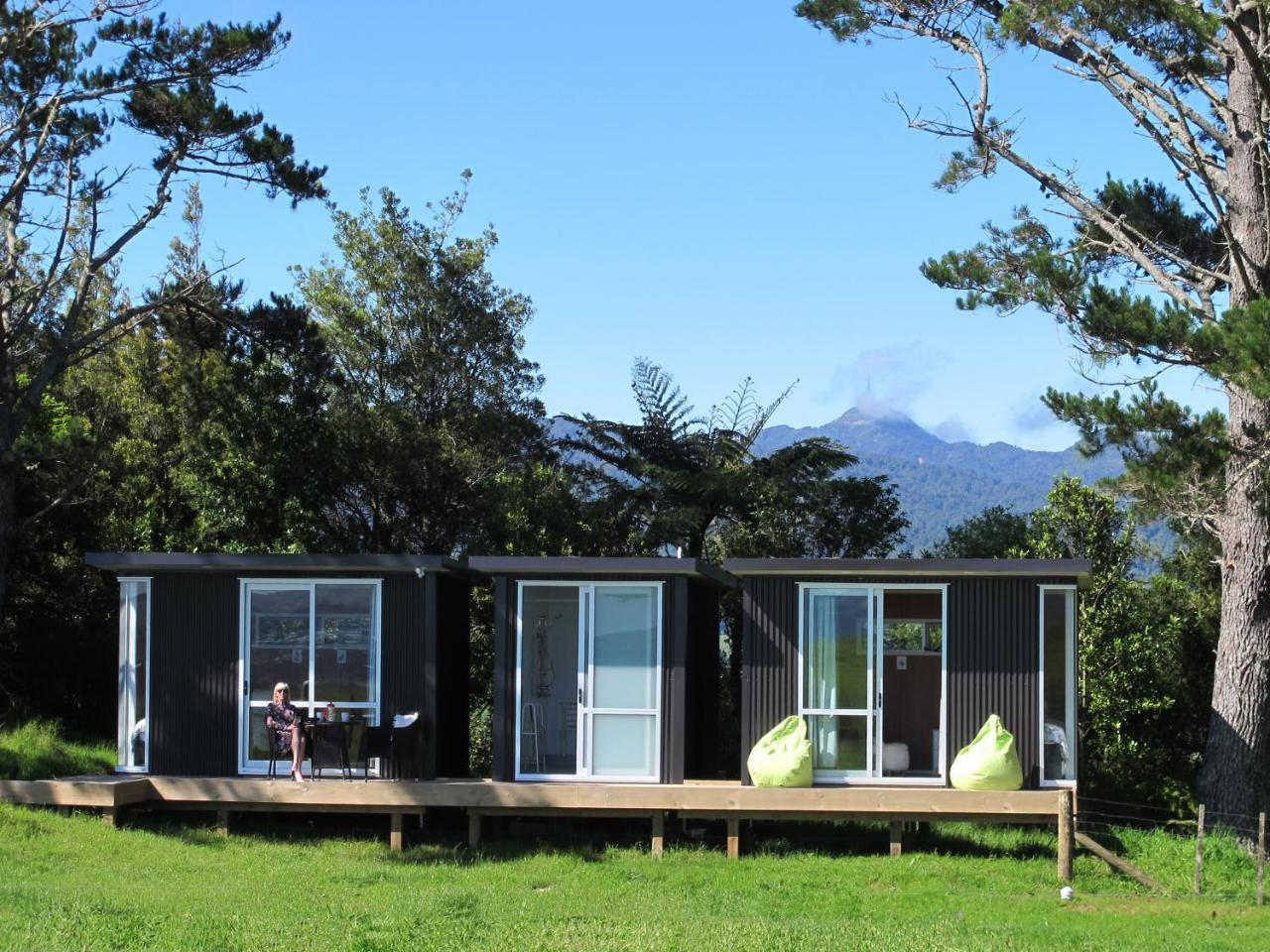 Waihi Gold Alpacas 3 Or 4 People — hotel in Waihi