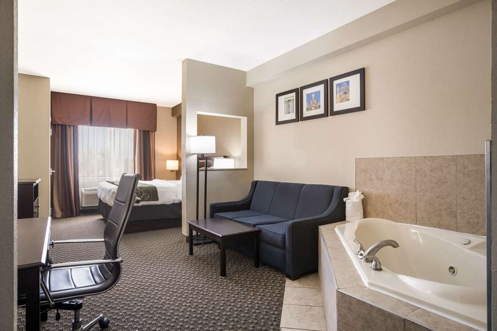 Comfort Suites Forsyth near I 75 - photo 22