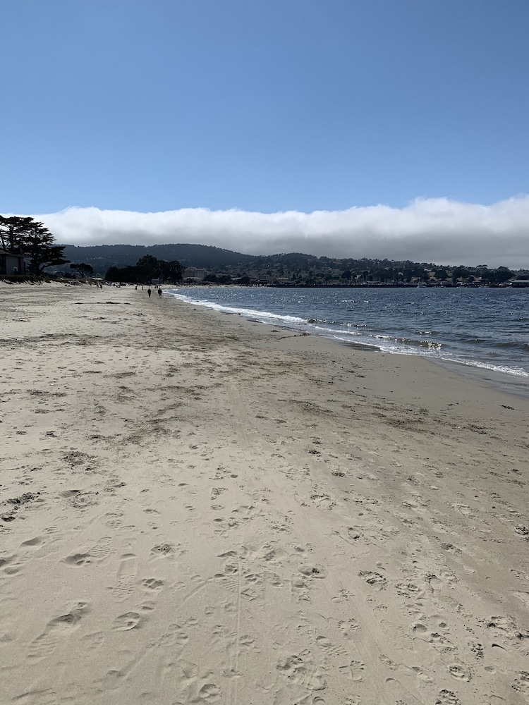 Monterey Oceanside Inn - photo 24