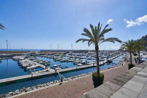 Marina Rooms - last minute hotel in Calheta