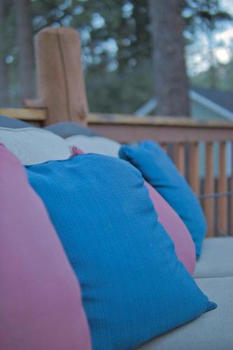 Ray’s Dear Cottage — Wrightwood — photo 4