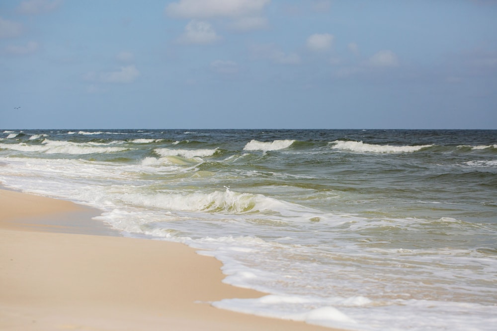 Sugar Sands RV Resort - photo 40
