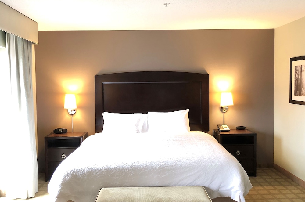 Hampton Inn & Suites Detroit Canton - photo 18