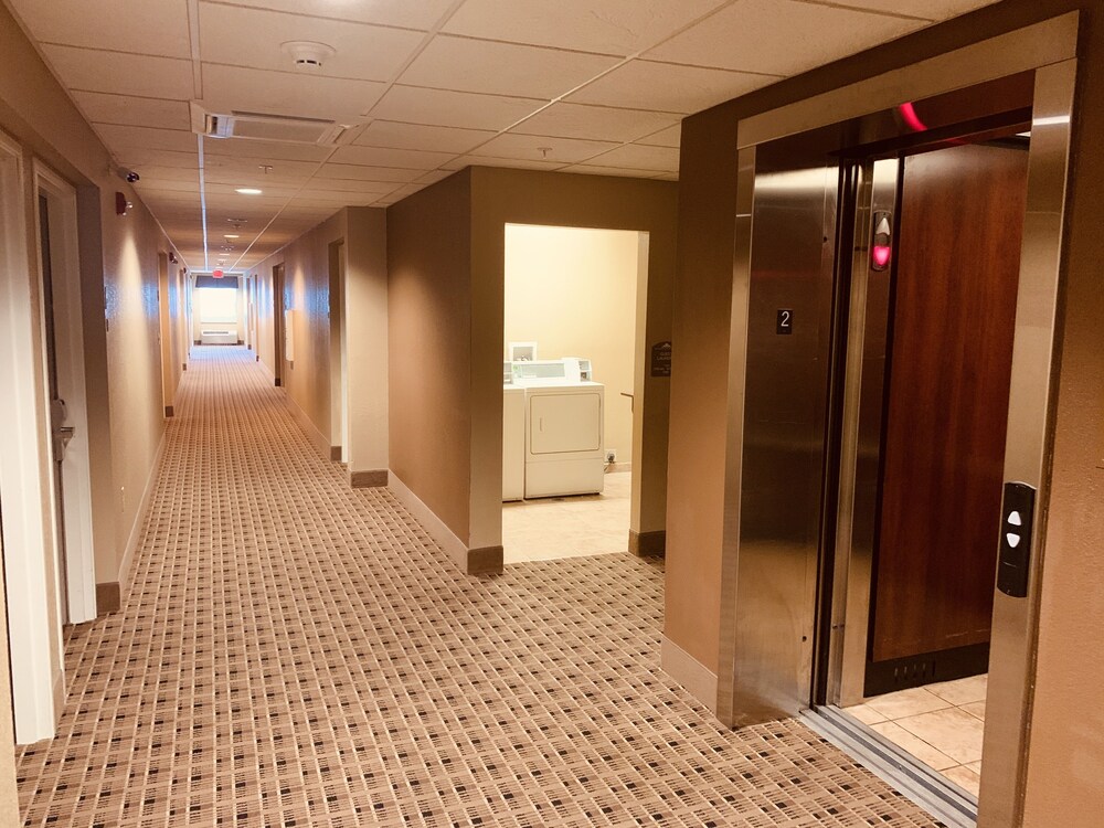 Microtel Inn And Suites Sayre PA - photo 30