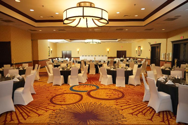 Holiday Inn & Suites Chicago Carol Stream by IHG - photo 49