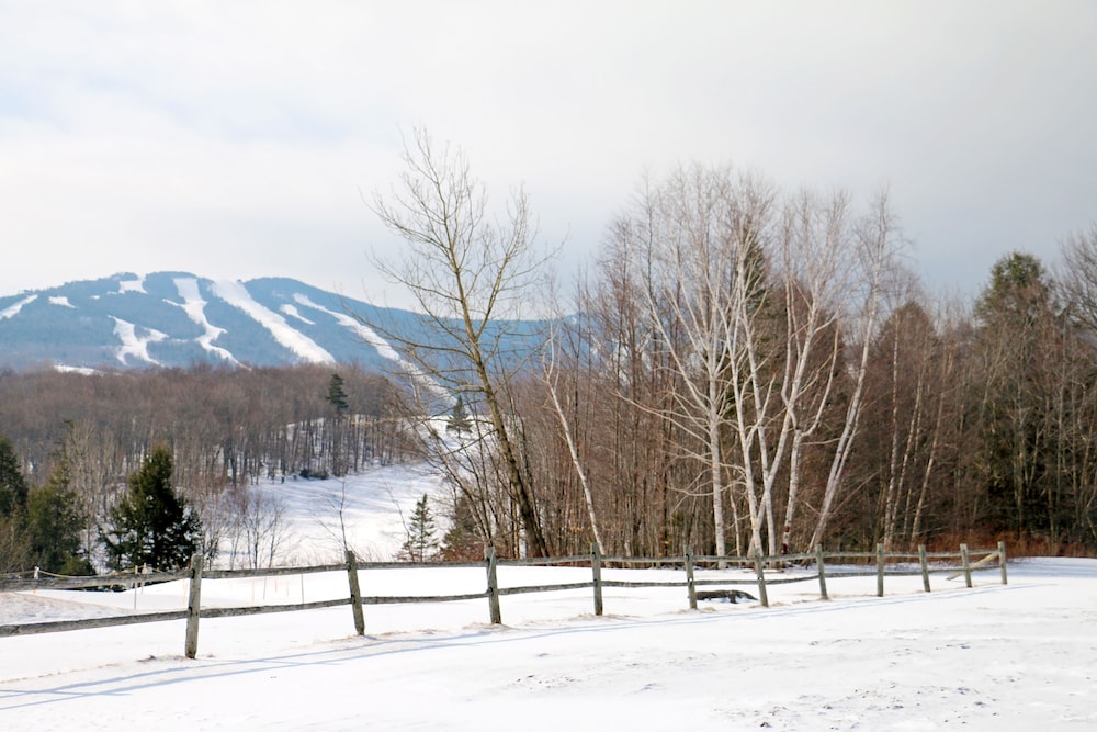 Killington Mountain Lodge Tapestry Collection by Hilton - photo 59