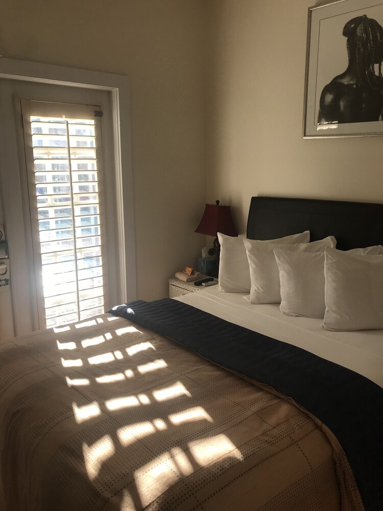 New Orleans House Gay Men Adult Resort - photo 23