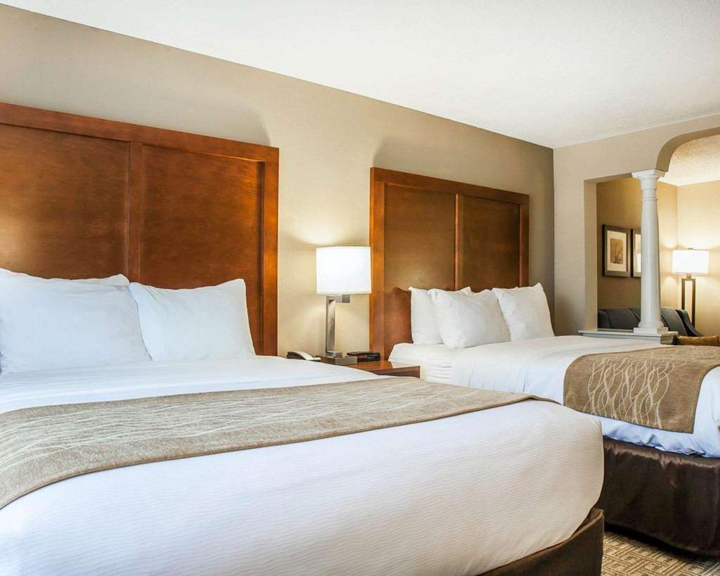 Comfort Inn & Suites Sturbridge Brimfield - photo 23