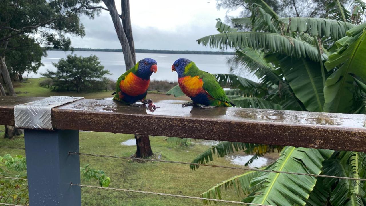 Absolute Lakefront House Enjoy the Sunrise — Budgewoi — photo 4