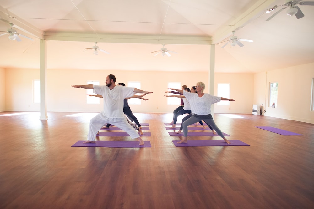 Art of Living Retreat Center - photo 40