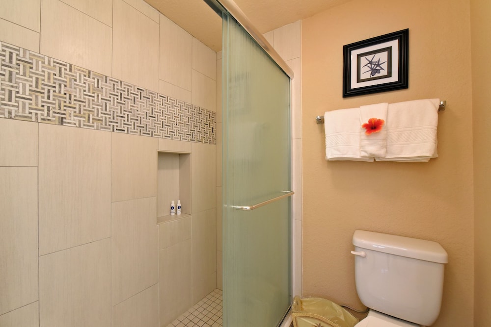 Napili Point C40 NP C40 Beautiful OceanFront 2BD Ocean View AC - photo 30