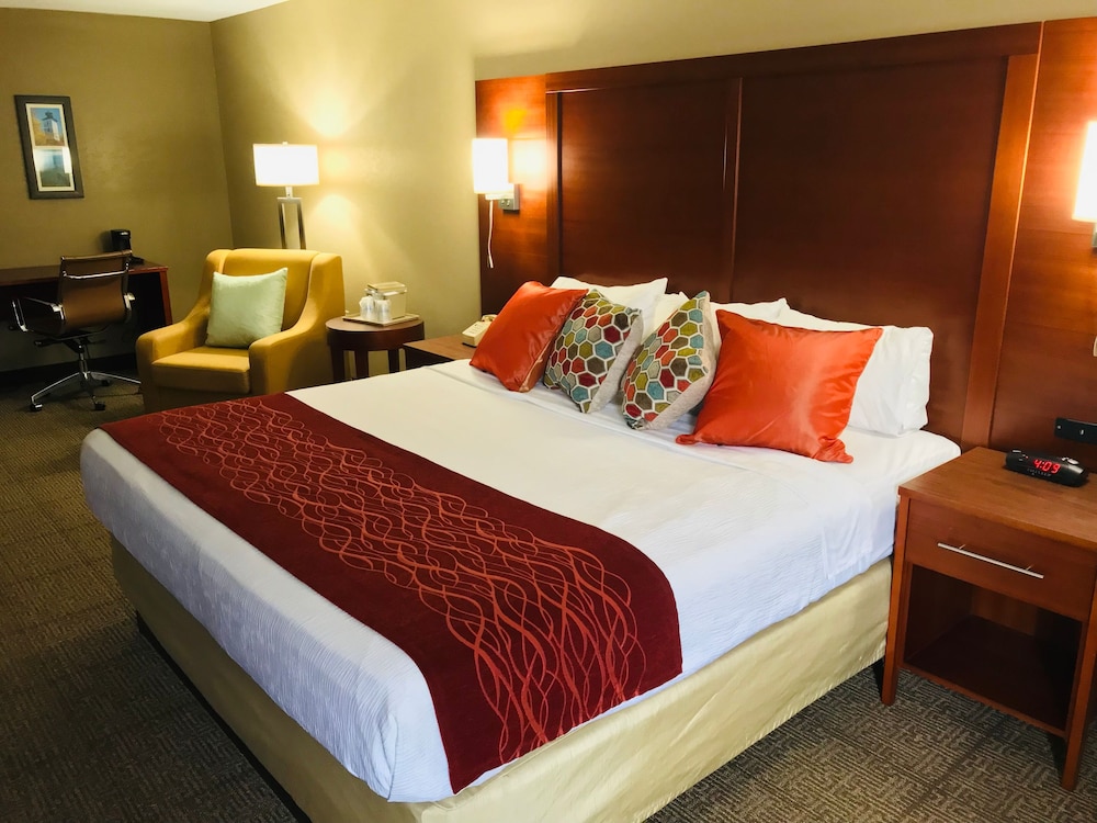 Comfort Inn Erie Near Presque Isle - photo 6