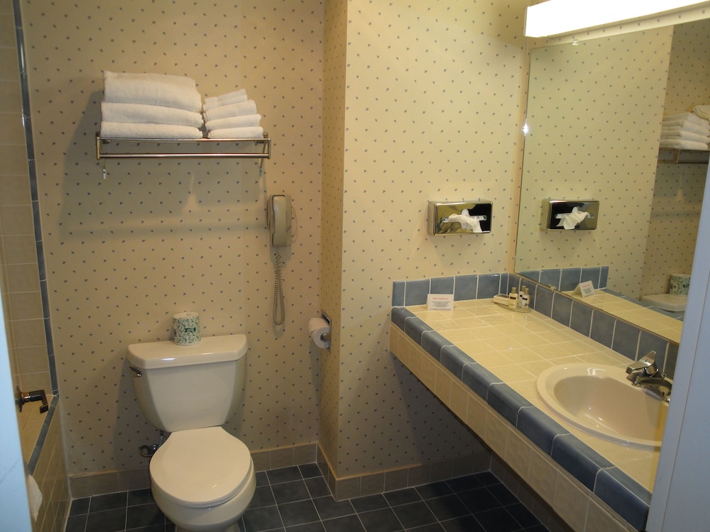 Clarion Inn Silicon Valley - photo 32