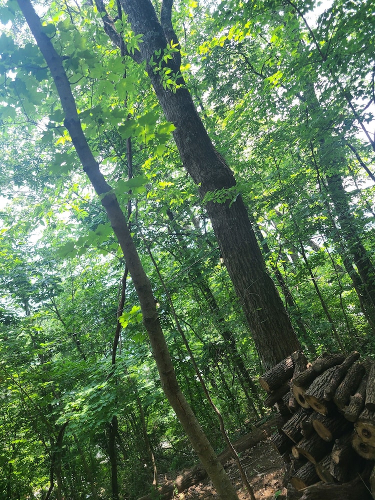 The Treetop Hideaways at Ruby Falls - photo 87