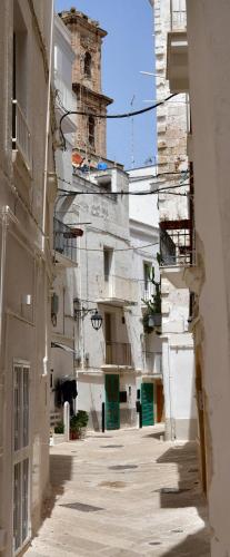 Ginnasio 35 — Monopoli — photo 4