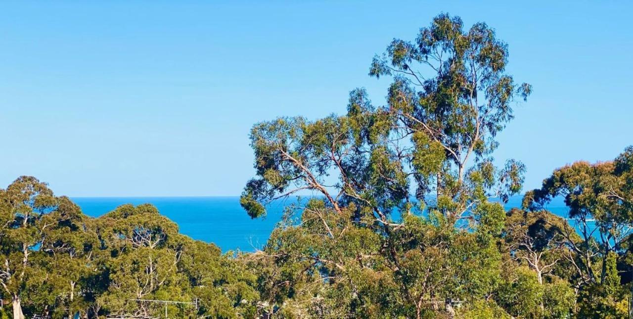 Vacation Mode in Lorne, Australia