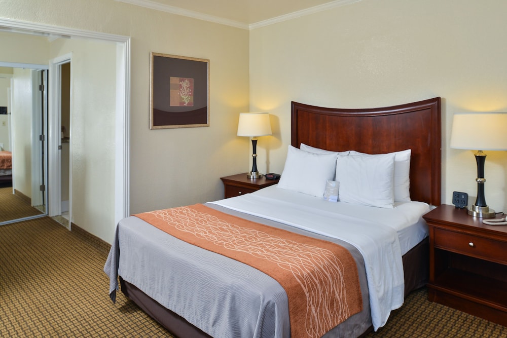 Blu Pacific Hotel - photo 12