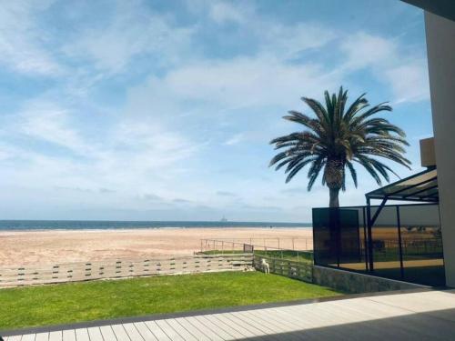 Shametu @ Sea in Unknown City, Namibia