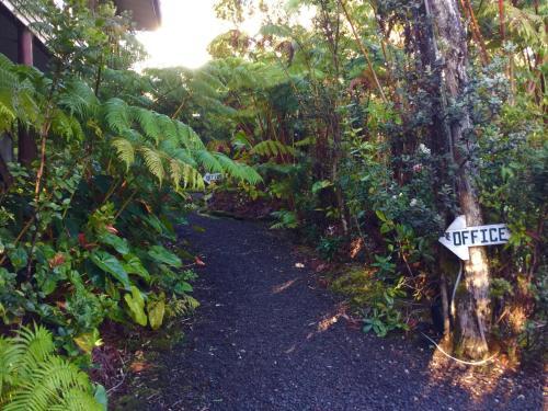 Volcano Inn - photo 15