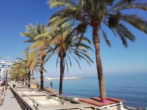 Marbella Center Ricardo Soriano 6 Persons Beach At 250 M — Marbella