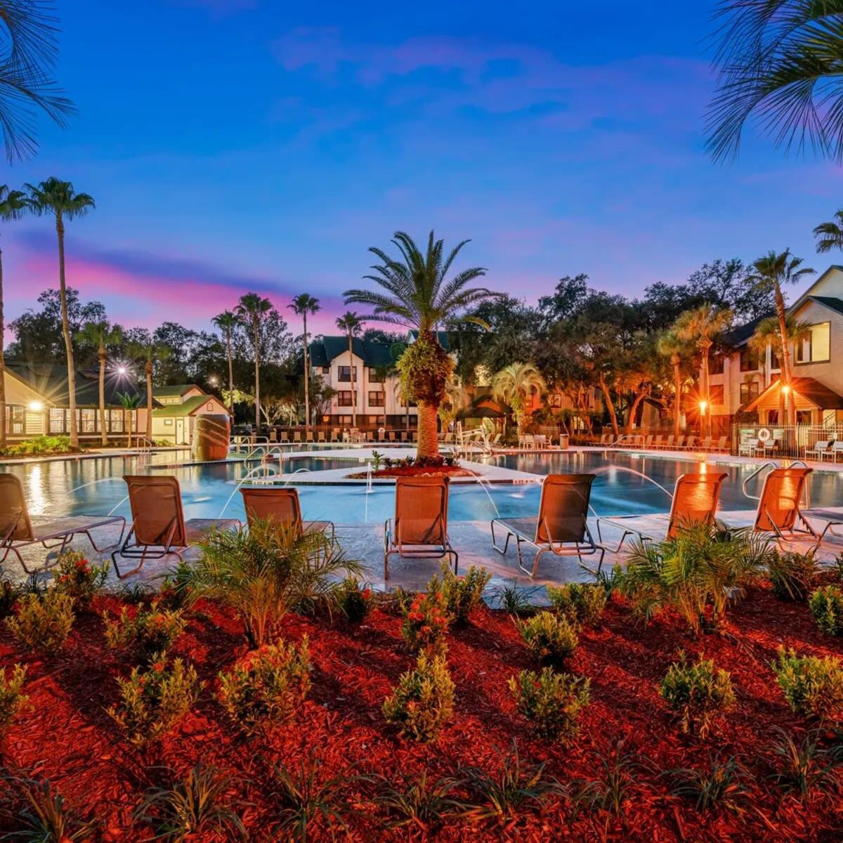 4Bd 2 Mi To Usf Free Pool 24 Hour Gym in Tampa, United States