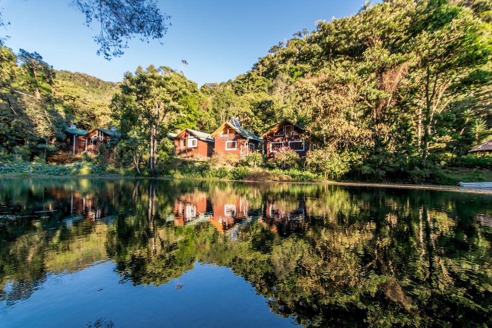Sueños del Bosque in San Isidro, Costa Rica