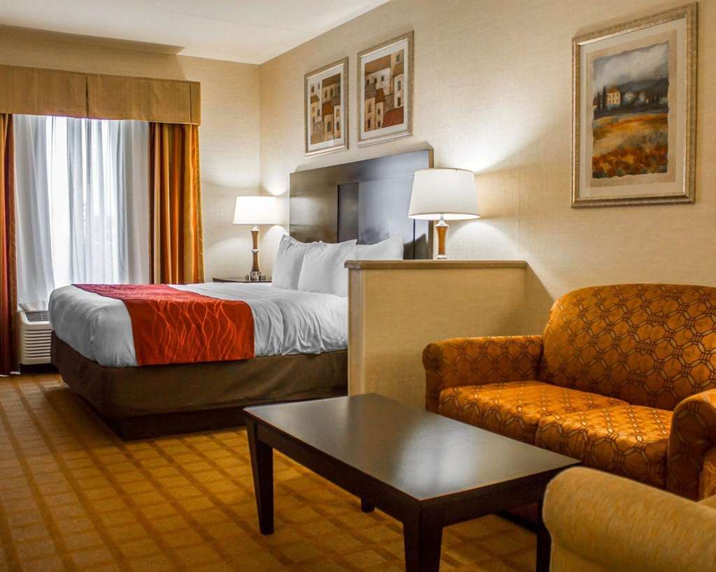 Comfort Suites Edinboro - photo 13