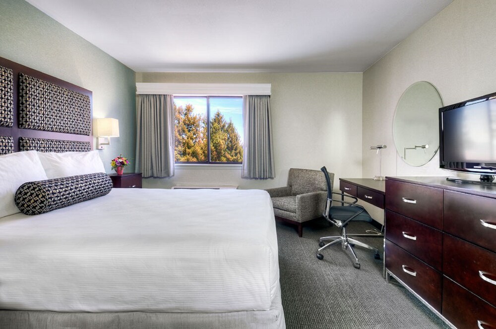 Maple Tree Inn - photo 10
