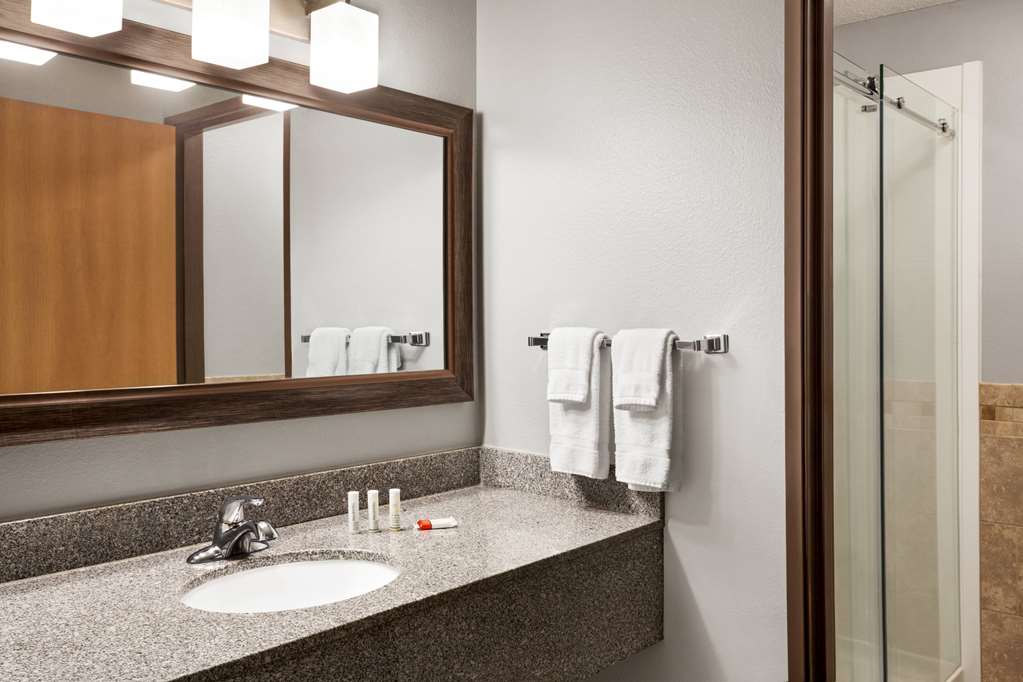 AmericInn by Wyndham Sauk Centre - photo 29