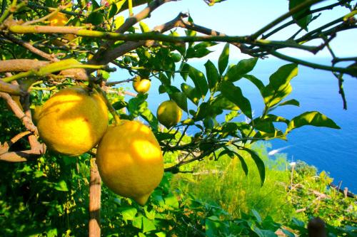 LInfinito — Amalfi — photo 5