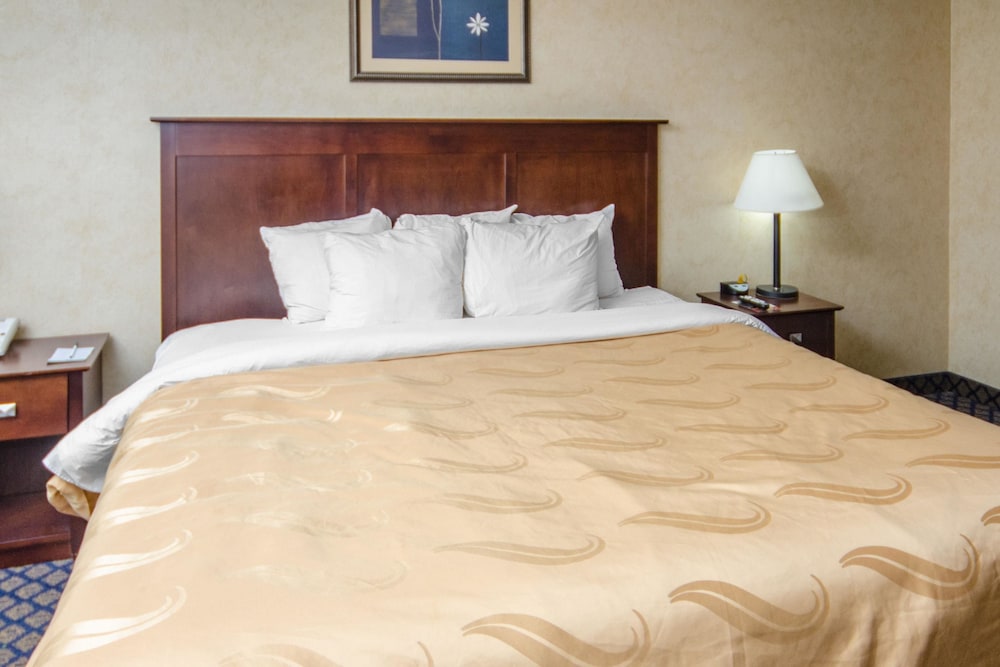 Quality Inn & Suites Coldwater near I 69 - photo 21