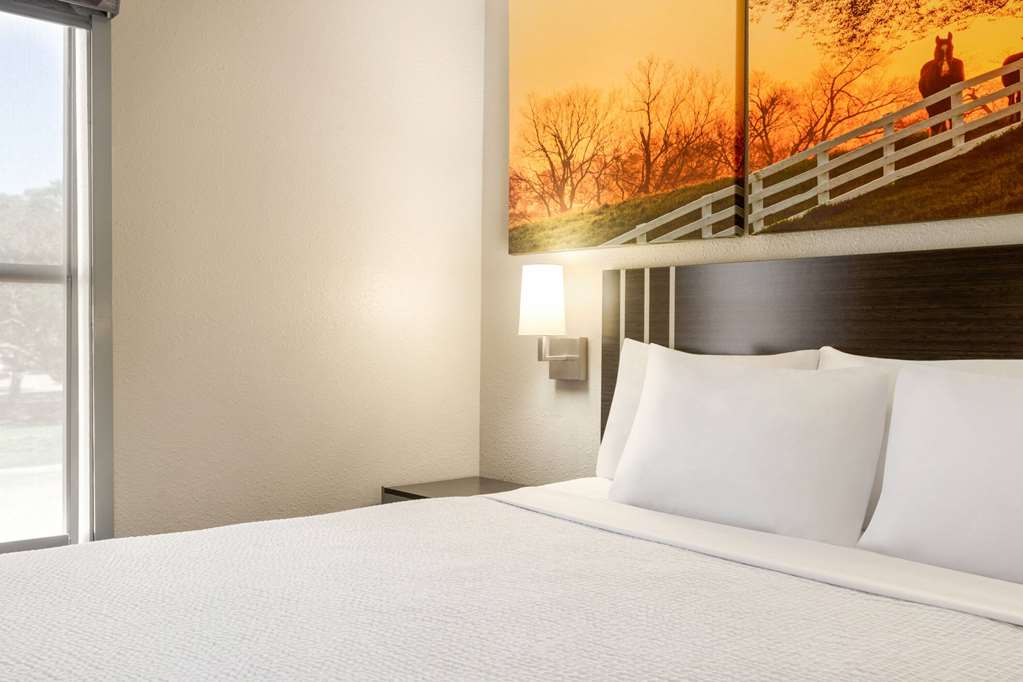 Days Inn by Wyndham San Antonio Near Fiesta Park - photo 28