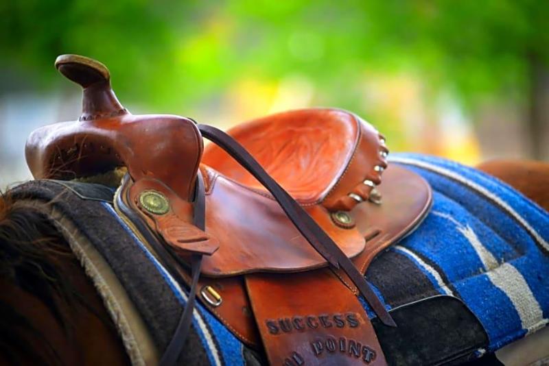 Wonder Valley Ranch Resort - photo 19