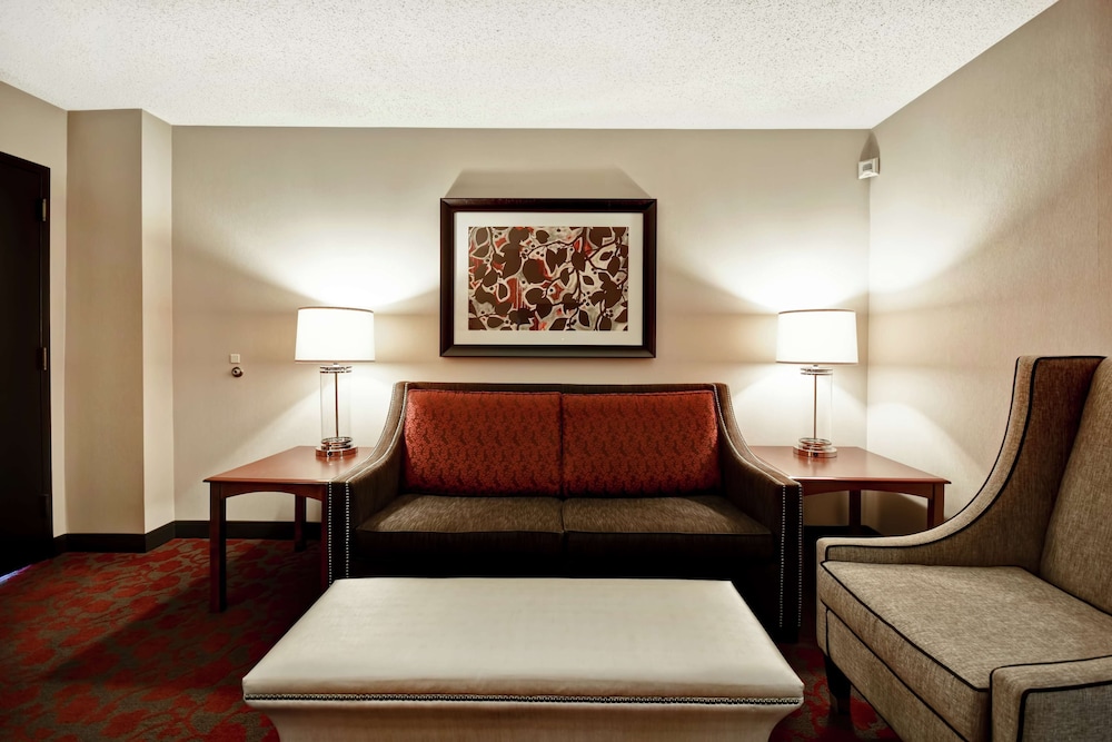 Embassy Suites by Hilton Dulles Airport - photo 25
