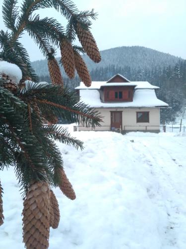 Na Hutori in Tatariv, Ukraine