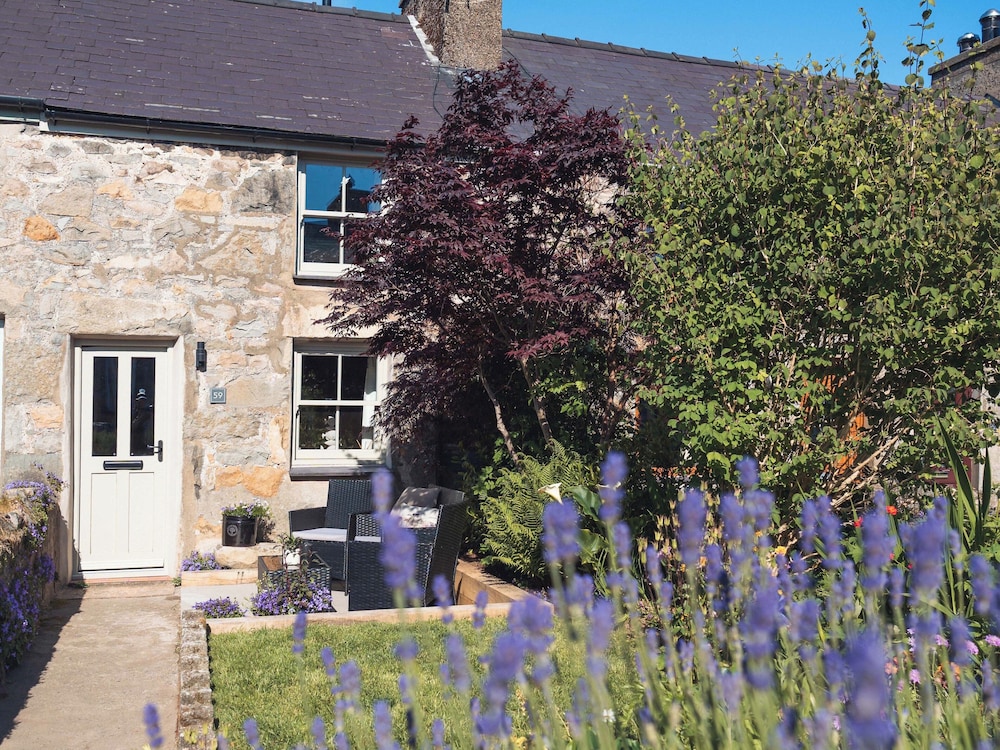 Ynata in Caernarfon, United Kingdom