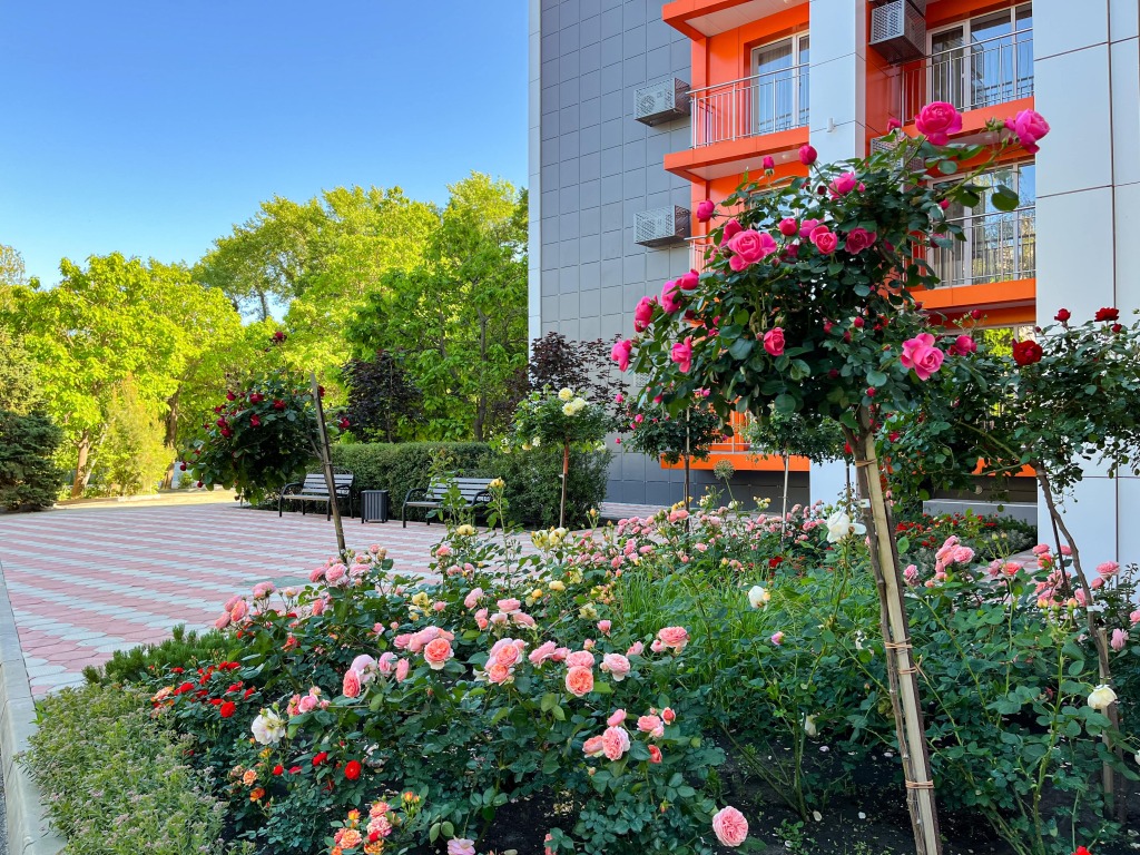 Bridzh Apartments — 4-Star Luxury Hotel in Dzhubga, Russia