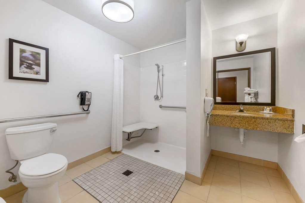 Comfort Suites Conference Center Rapid City - photo 10