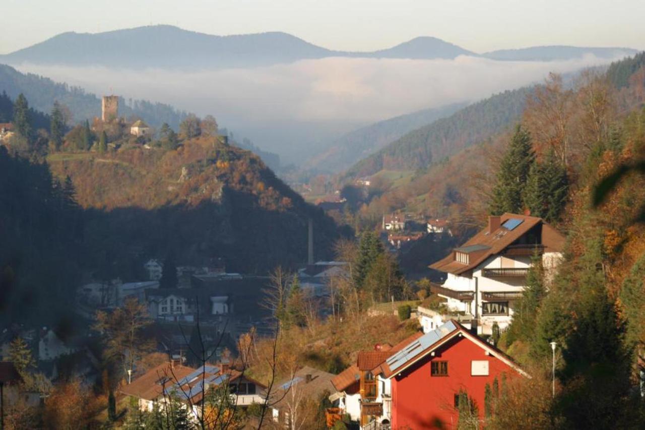 Ferienwohnung Am Rubersbach — Hornberg — photo 2