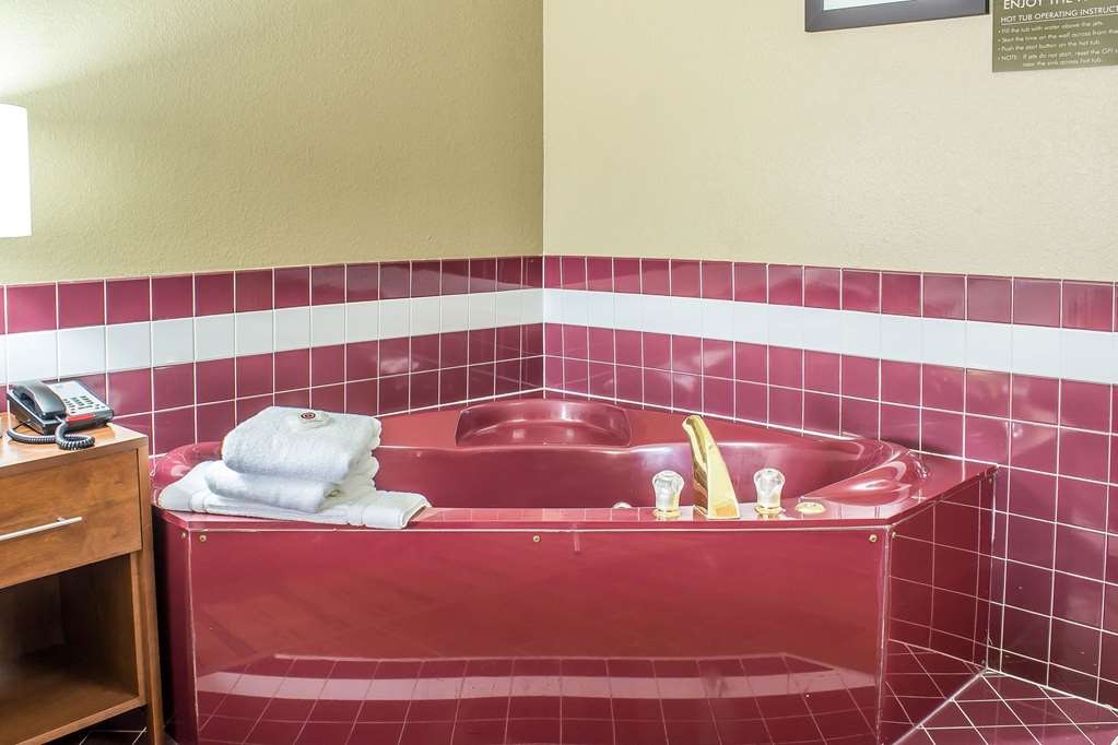 Comfort Inn & Suites Cedar Rapids North Collins Road - photo 31