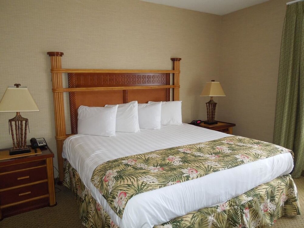 Maui Sands Resort & Indoor Waterpark - photo 17