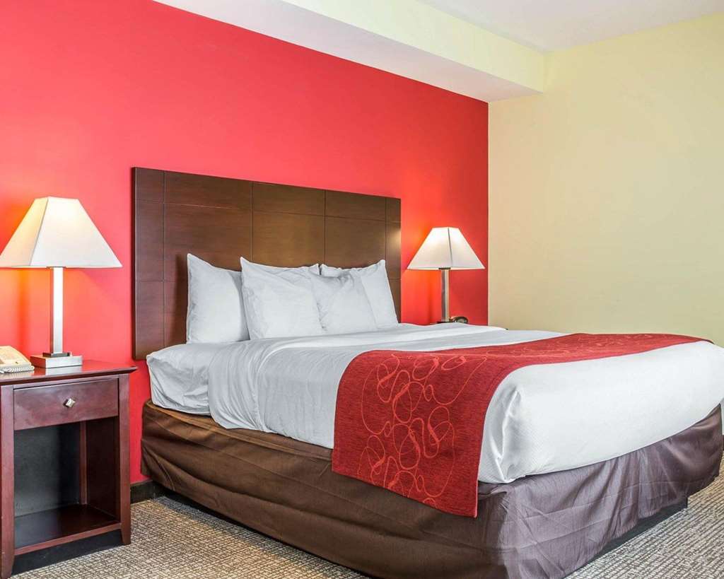 Comfort Suites Rock Hill Manchester Meadows Area - photo 10