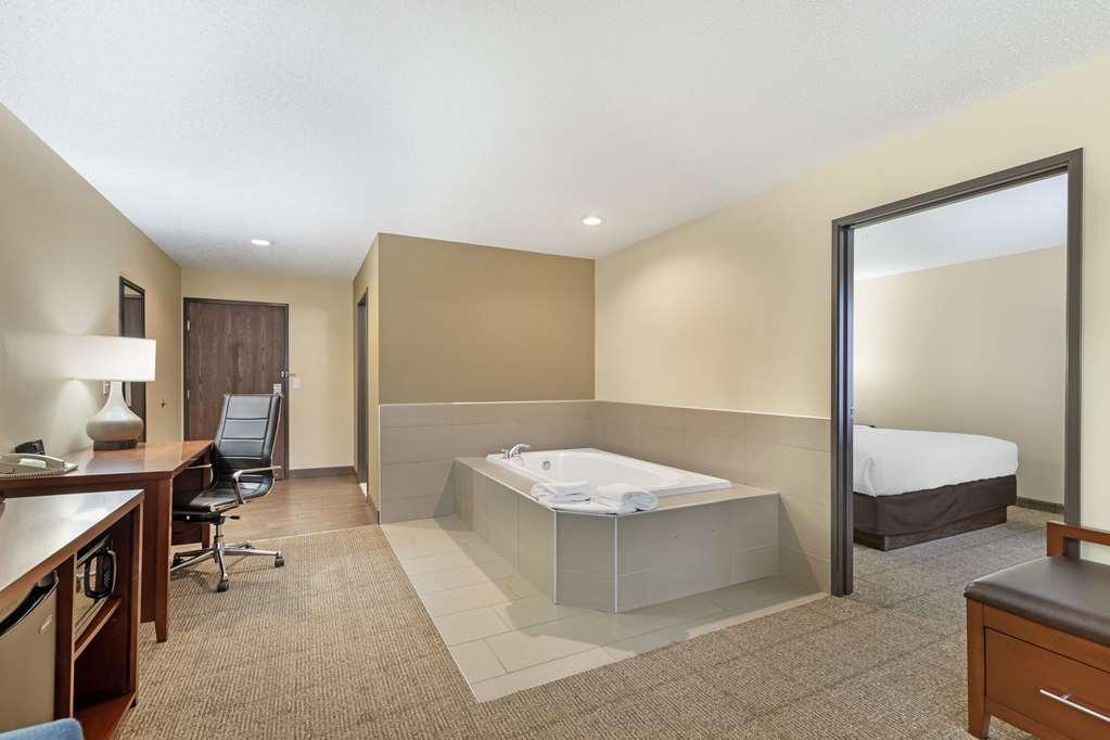 Comfort Suites Cedar Falls Industrial Park - photo 22