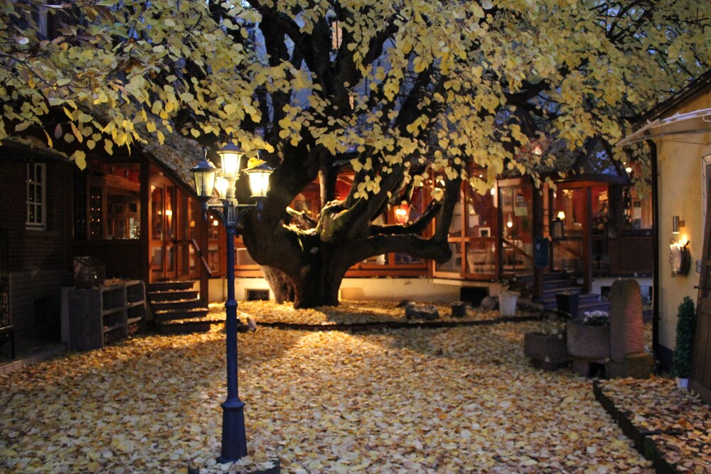 Lindenhof Landgasthof Hotel — hotel in Friedrichsdorf
