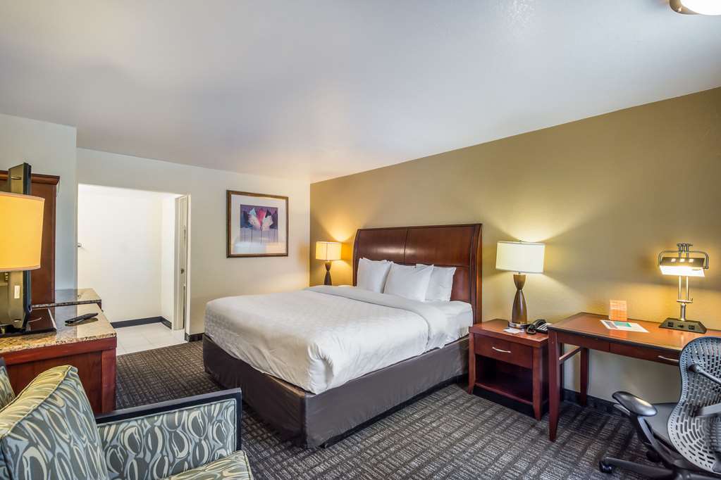 Clarion Inn & Suites Central Clearwater Beach - photo 25