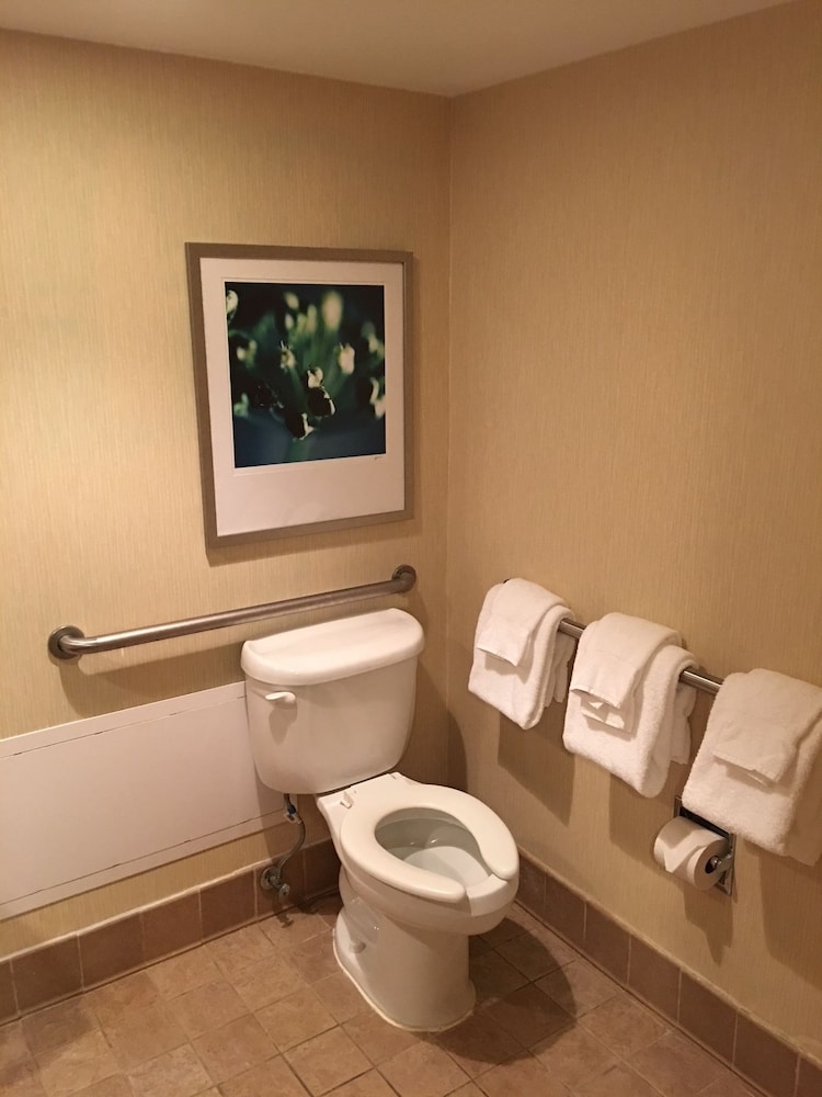 Hilton Peachtree City Atlanta Hotel & Conference Center - photo 39