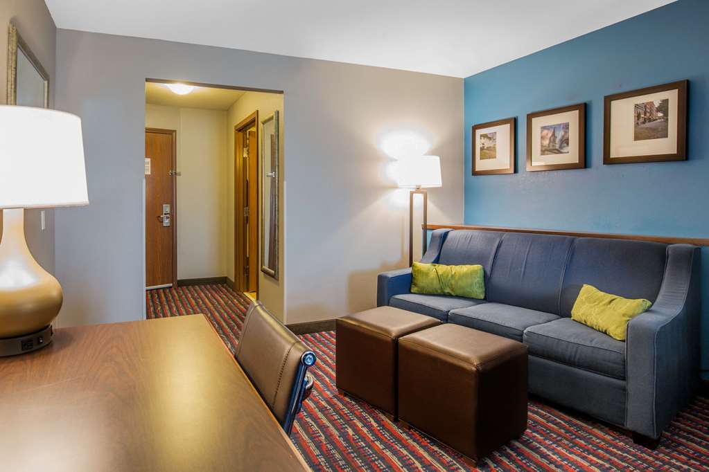 Comfort Suites Fairview Heights St. Louis - photo 25