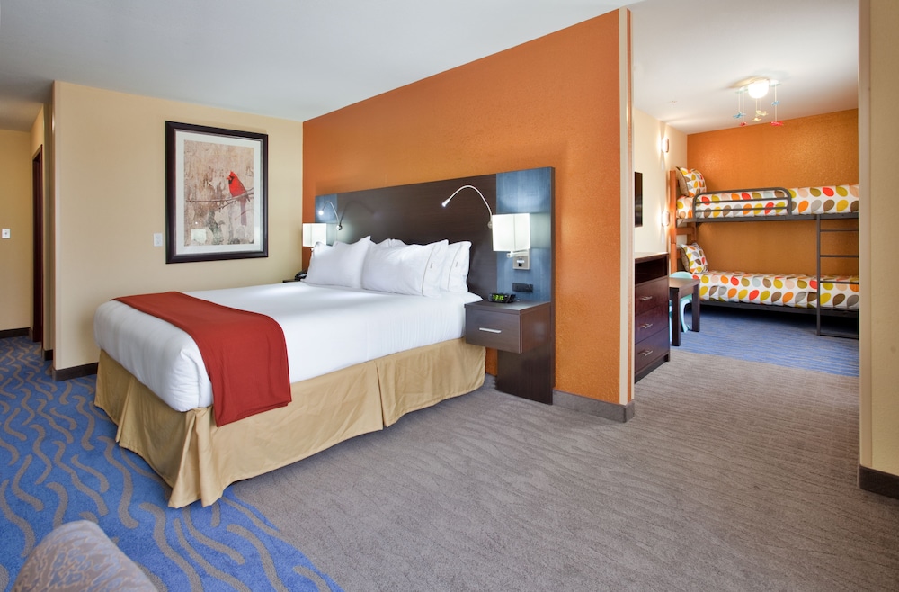 Holiday Inn Express & Suites St Louis Airport by IHG - photo 9