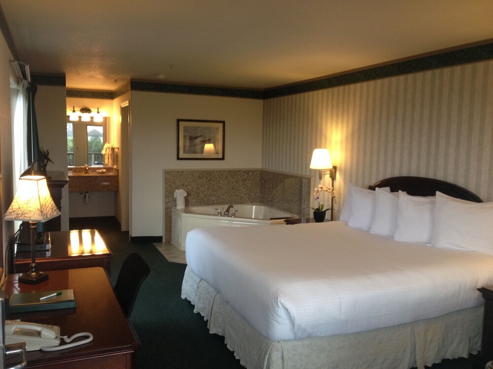 Emerald Dolphin Inn & Mini Golf - photo 4