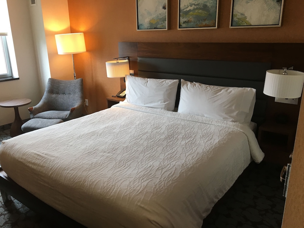 Hilton Garden Inn Long Island City New York - photo 7